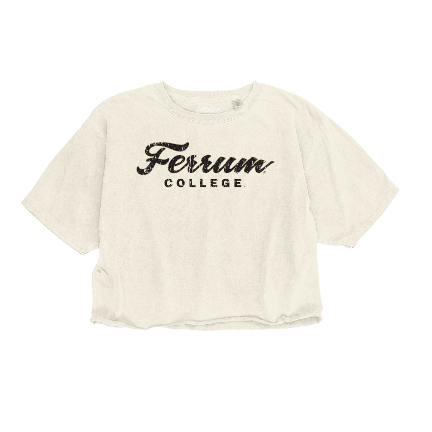Blue 84 Officially Licensed Penn State Nittany Lions Long Sleeve T-Shirt - Vintage Team Color Dyed, Ringspun Cotton