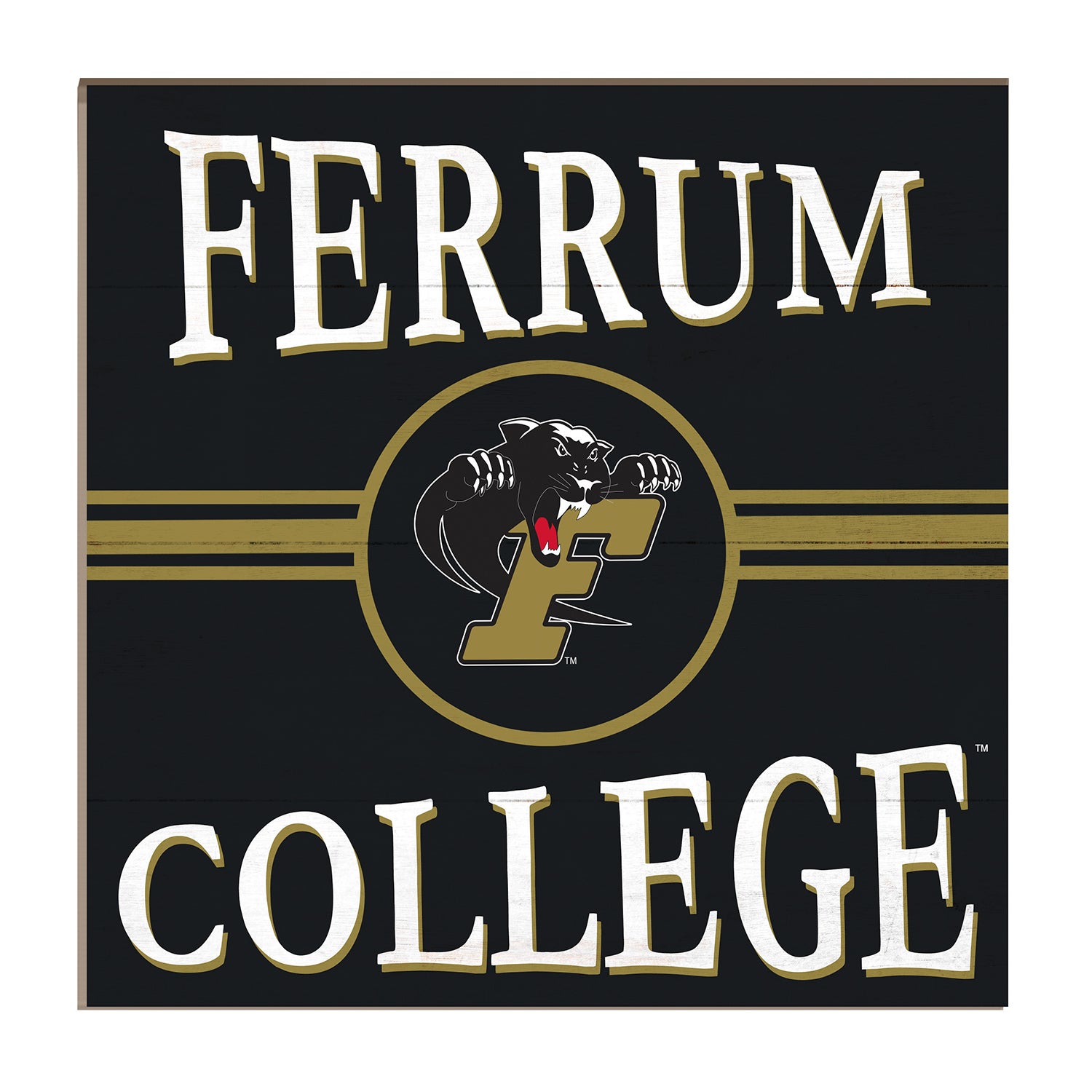Retro Ferrum College Sign 10"x10" Ferrum College Campus Store